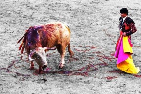 华体会体育-观众惊呼!西班牙选手刷新记录