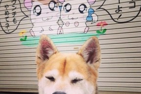 华体会官网-篮坛一日惊雷，广东爆冷暗涌翻江，詹姆斯焦点之战定江山