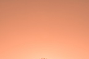 华体会app-马克西单核操控全局！掘金粉碎篮网背后，暗藏新一代控场大师的诞生