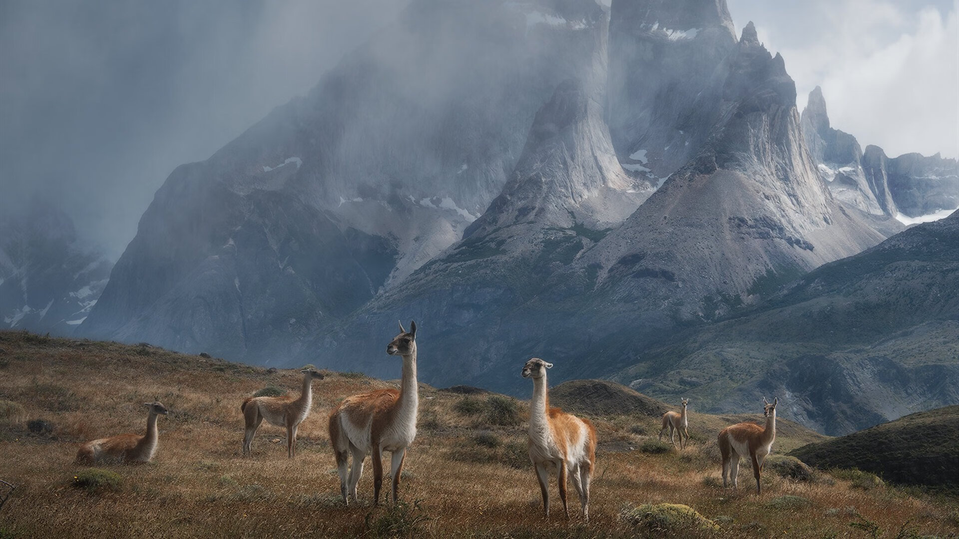华体会登录-巴萨关键战突围波兰铁骑,贝林厄姆闪耀全场却难救主 第1张 华体会登录-巴萨关键战突围波兰铁骑,贝林厄姆闪耀全场却难救主 第1张