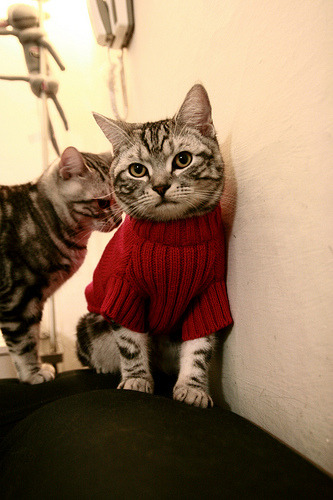 华体会网址-战争艺术,多特蒙德闪电战击穿比利时,苏亚雷斯以剑为笔演绎关键先生 第1张 华体会网址-战争艺术,多特蒙德闪电战击穿比利时,苏亚雷斯以剑为笔演绎关键先生 第1张