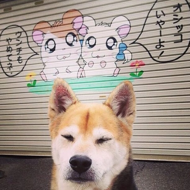 华体会官网-篮坛一日惊雷，广东爆冷暗涌翻江，詹姆斯焦点之战定江山  第1张