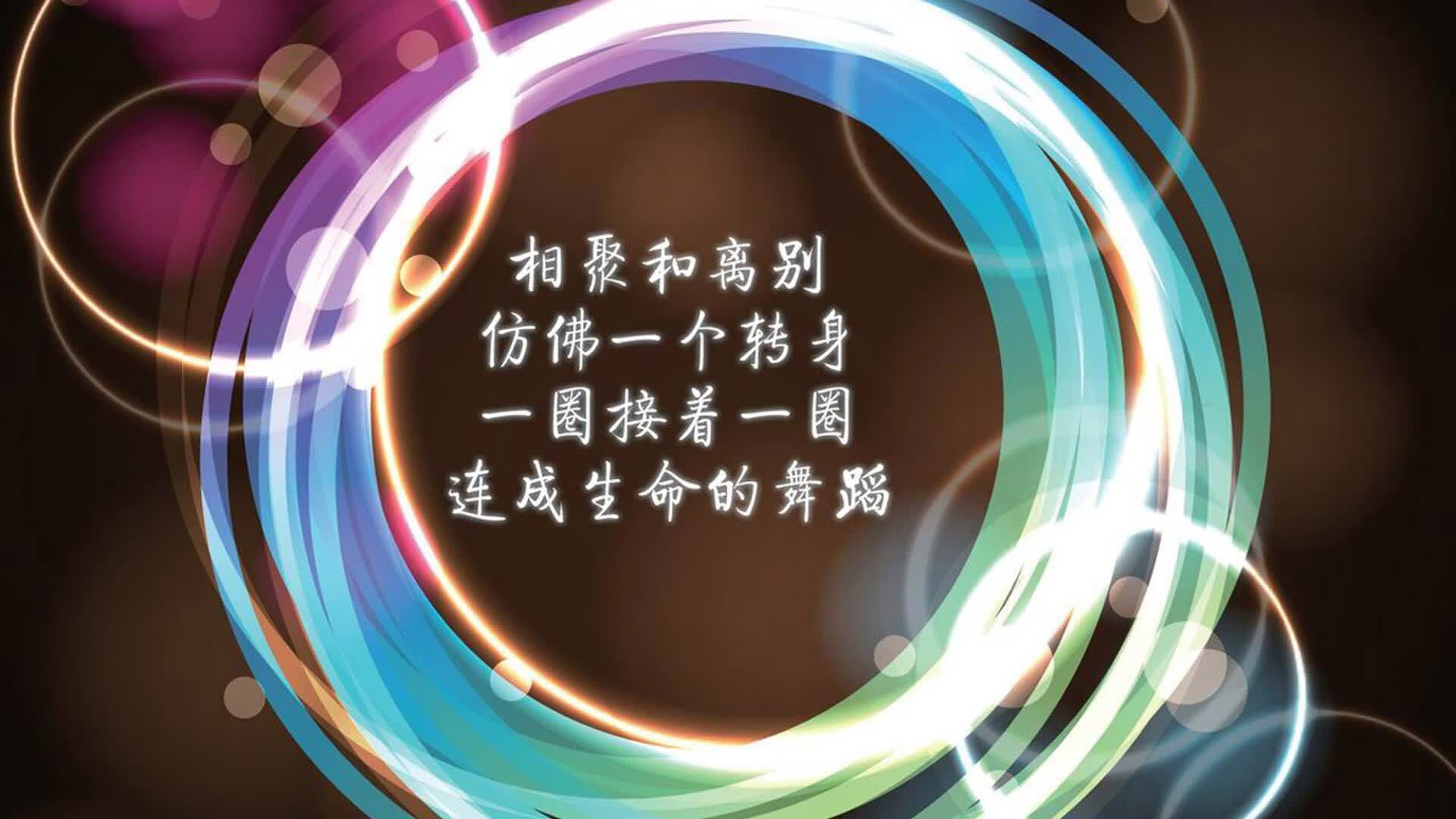 华体会体育-郁金香凋零于北欧风暴，费利克斯执剑，瑞典以反足球美学碾碎橙衣军团的理论幻梦  第1张